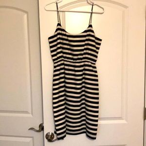 CUTEST DRESS. Never worn, NWT.